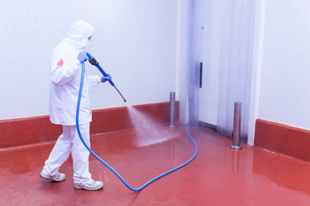 Best Rust Removal  in Commack, NY
